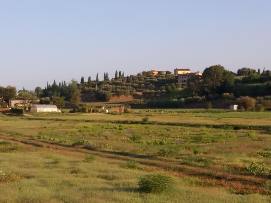 Podere Gian Battaglia Fucecchio Eksteriør billede