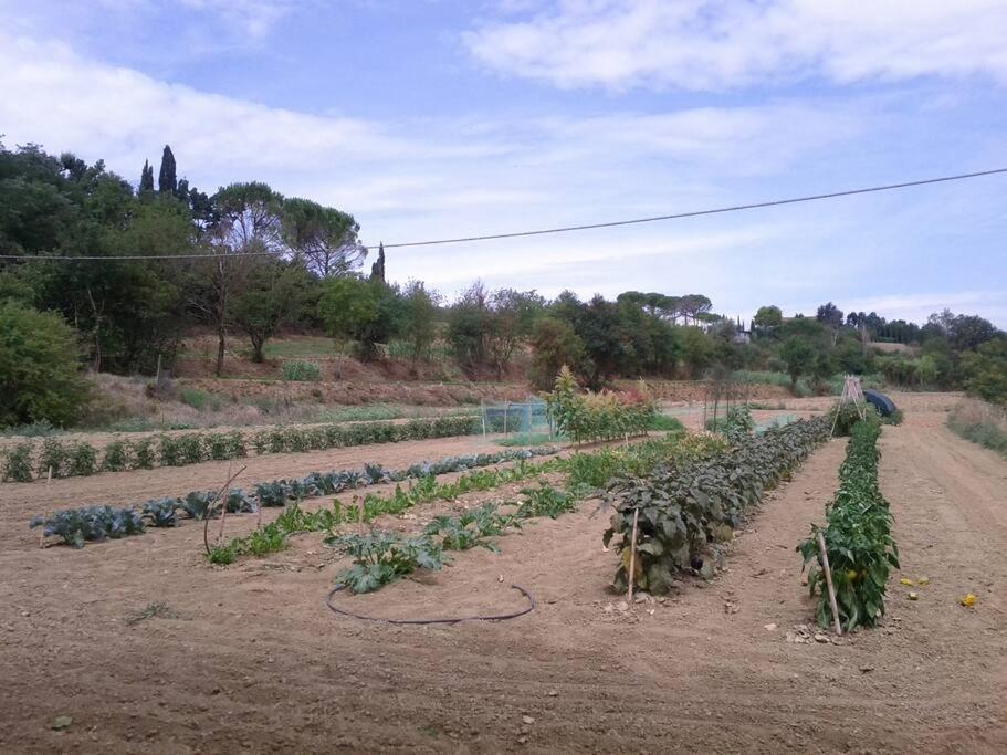 Podere Gian Battaglia Fucecchio Eksteriør billede