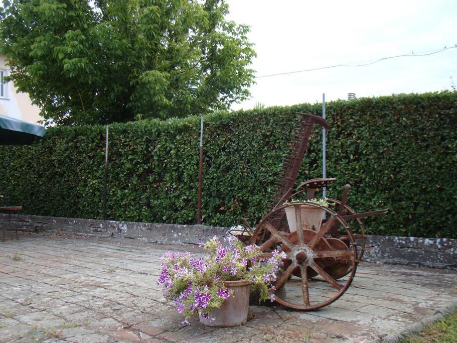 Podere Gian Battaglia Fucecchio Eksteriør billede
