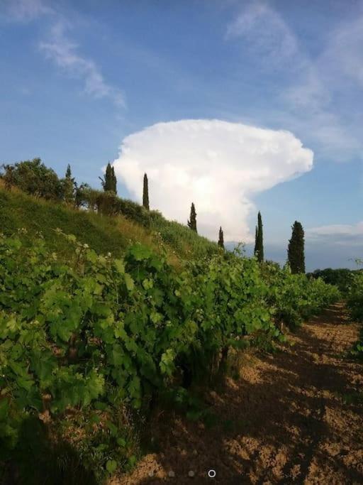 Podere Gian Battaglia Fucecchio Eksteriør billede