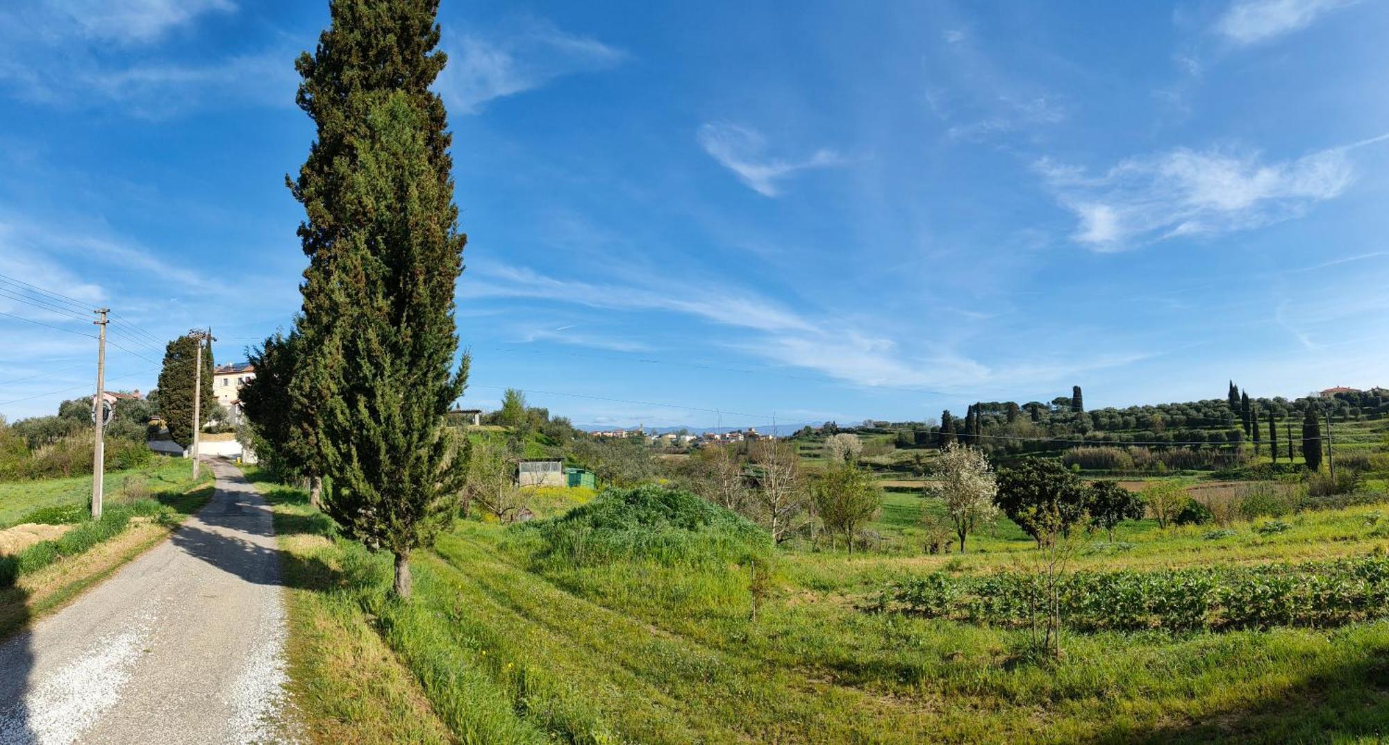 Podere Gian Battaglia Fucecchio Eksteriør billede