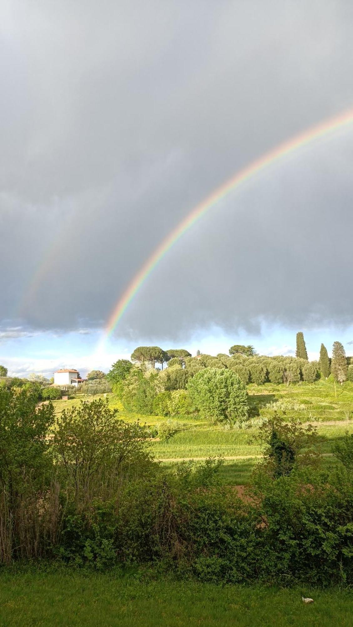 Podere Gian Battaglia Fucecchio Eksteriør billede