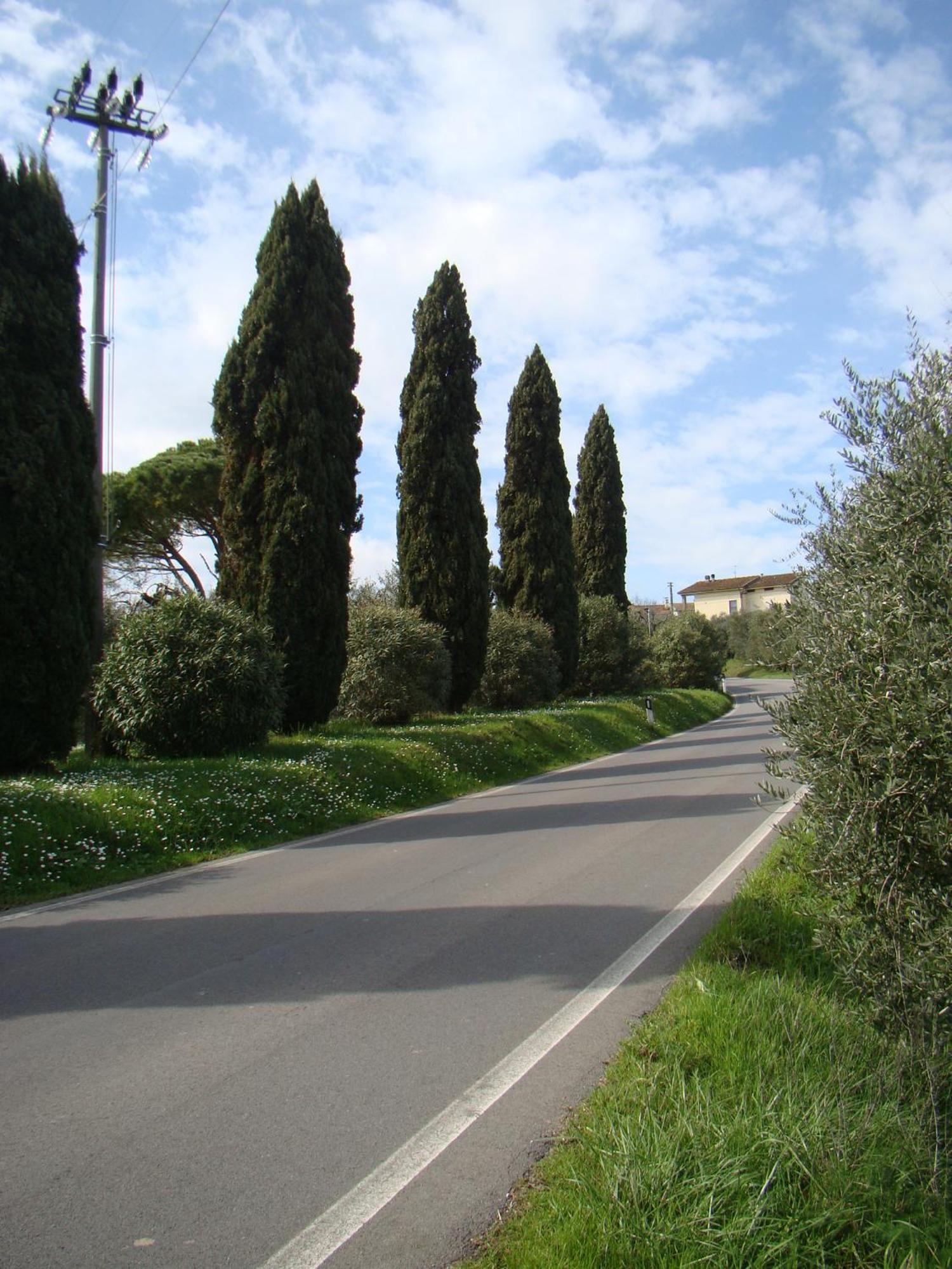 Podere Gian Battaglia Fucecchio Eksteriør billede