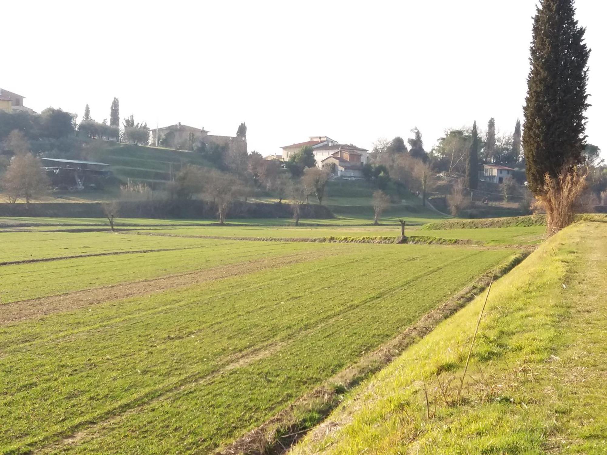 Podere Gian Battaglia Fucecchio Eksteriør billede