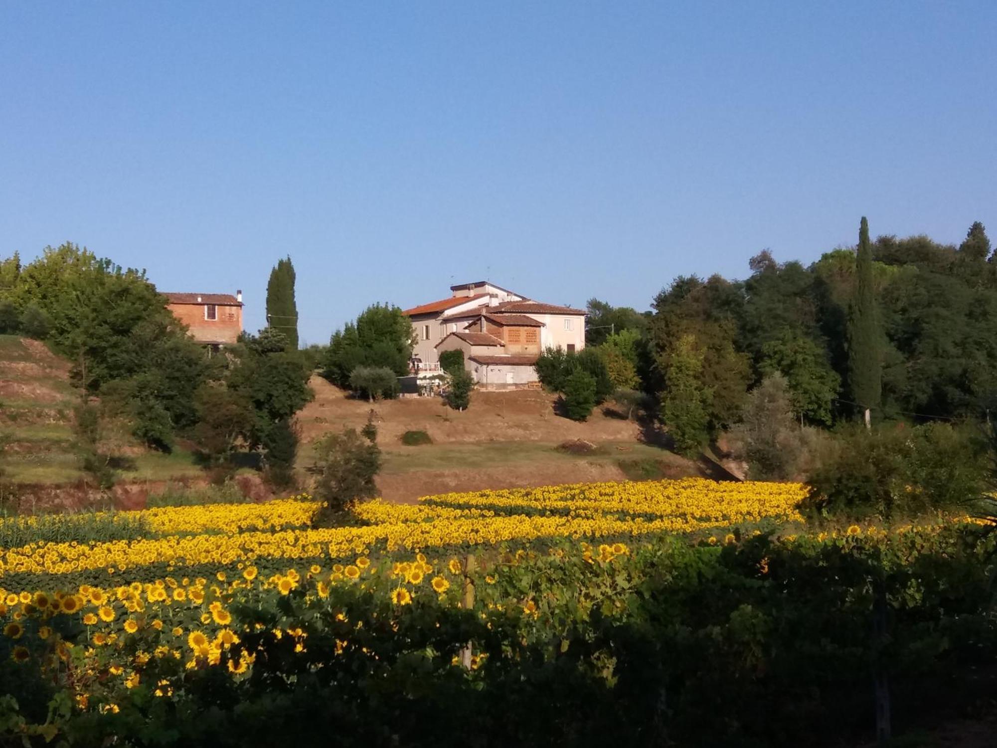 Podere Gian Battaglia Fucecchio Eksteriør billede