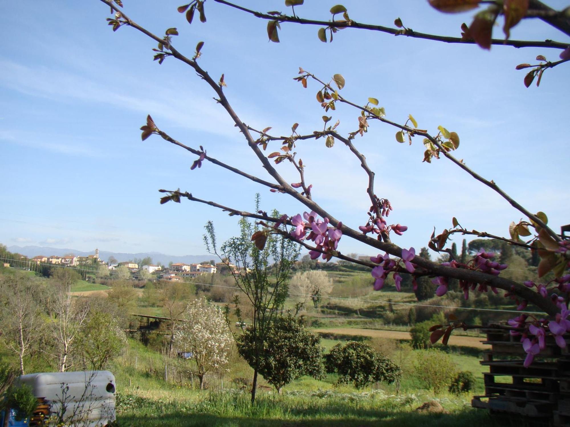 Podere Gian Battaglia Fucecchio Eksteriør billede